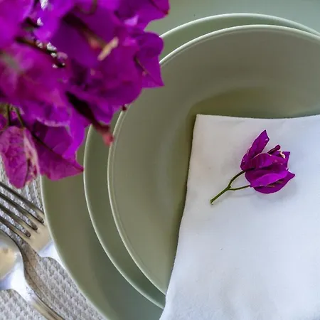 别墅 Bougainvilea 阿尔布费拉
